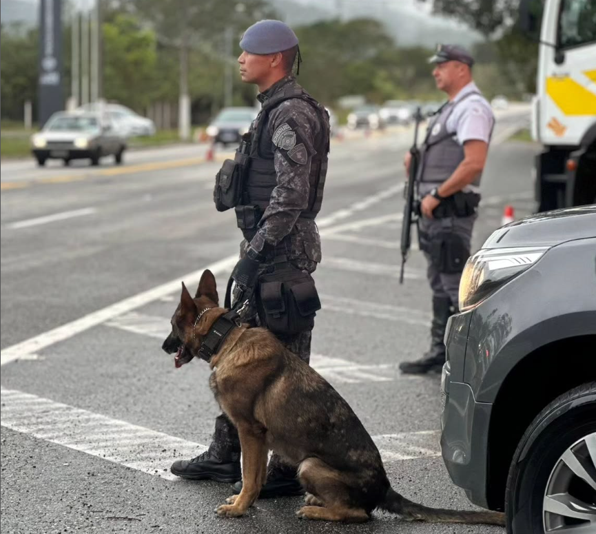 canil-rodovia Como são criados e treinados os cães policiais da PM de SP
