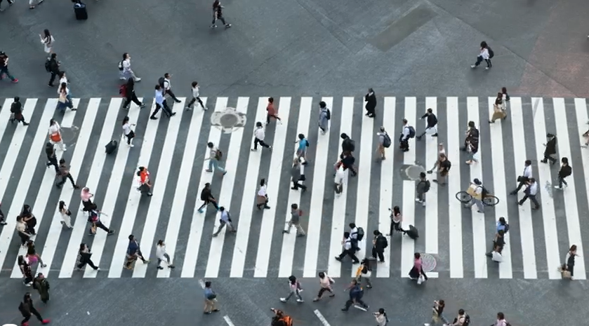Pedestres na faixa de segurança