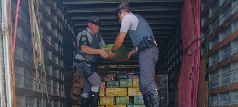 Ao abrir o compartimento de carga do caminhão, os policiais encontraram diversos livros e, escondidos no fundo do baú, vários paletes que ocultavam tijolos de maconha