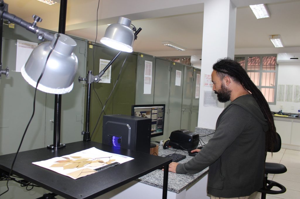 Murilo, funcionário do Herbário Iac, trabalhando