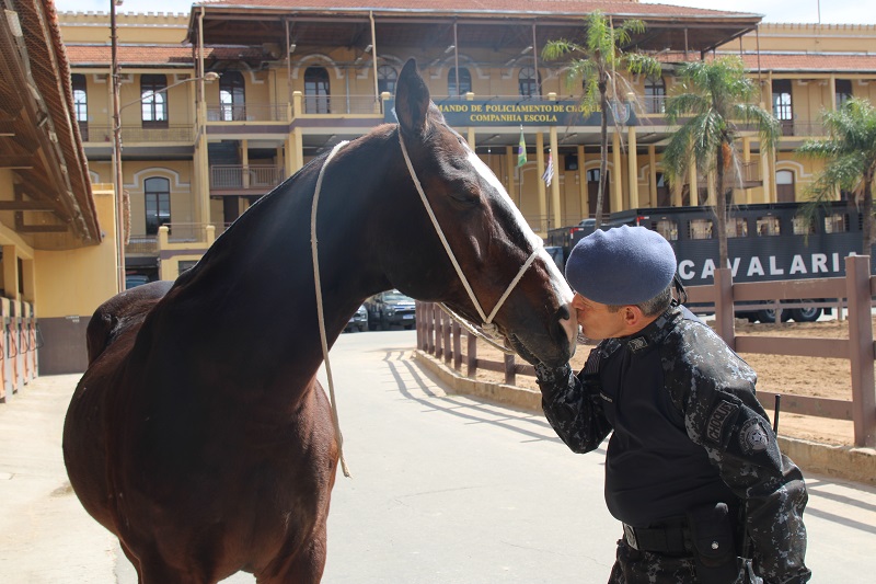 O Sargento quer continuar a parceria que já dura 14 anos 