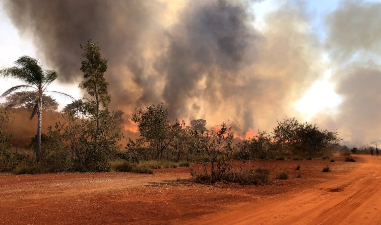 Incêndio, parque, unidade de conservação, fogo, queimada