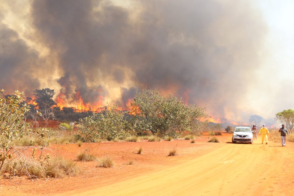 Incêndio, parque, unidade de conservação, fogo, queimada