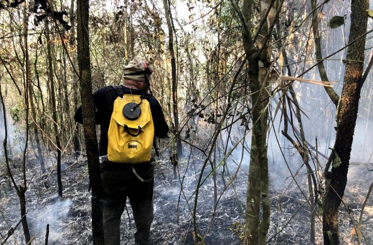 Incêndio, parque, unidade de conservação, fogo, queimada