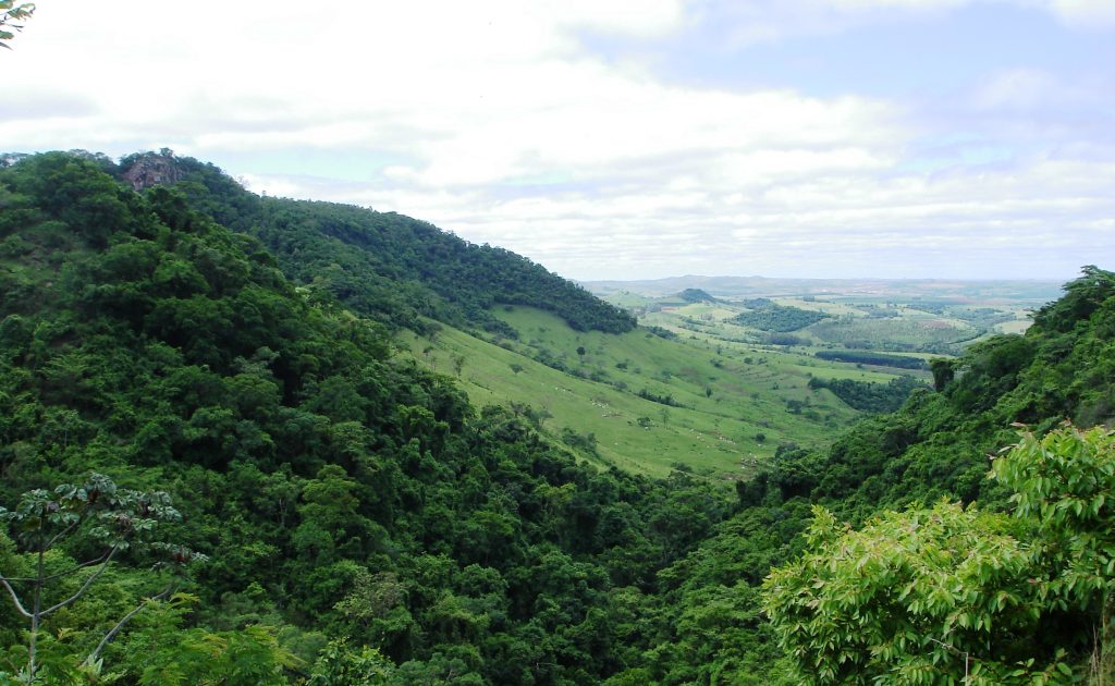 estágio na Semil. APA Corumbataí Botucatu Tejupá