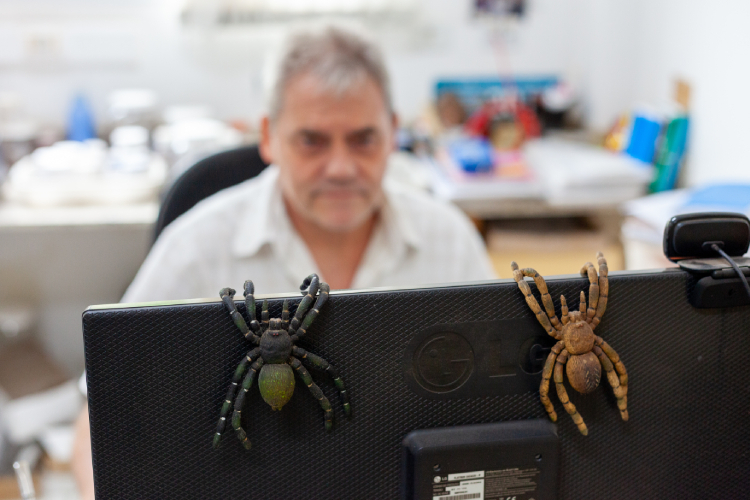 Colecionador de insetos