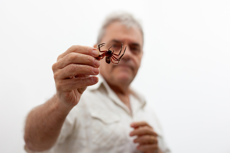 Colecionador de insetos, Antonio Brescovit