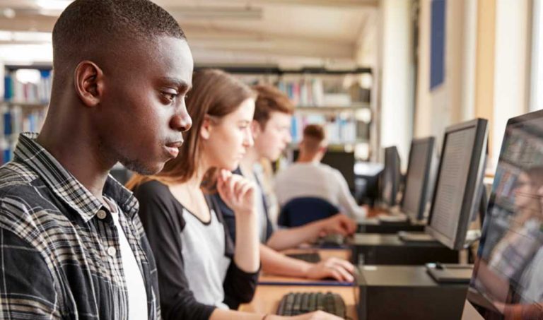 emprego, licenciatura