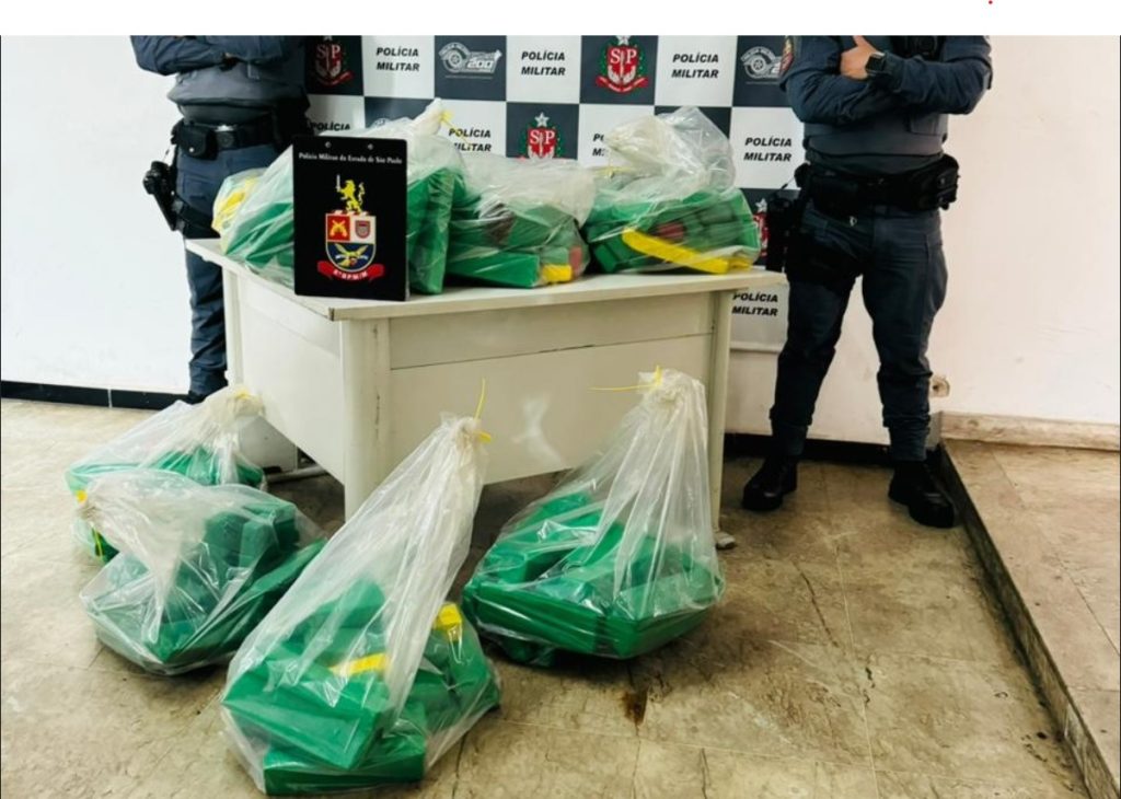 tijolos de maconha apreendidos