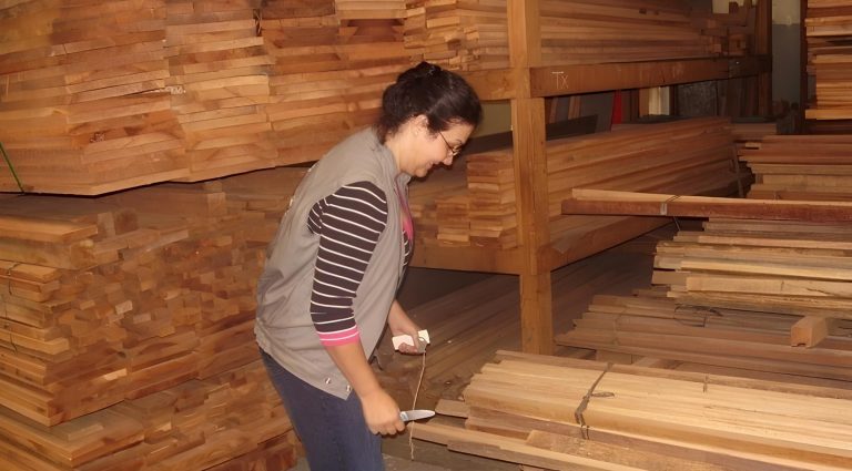 Pesquisadora Sandra Florsheim, do IPA