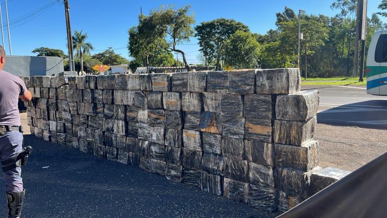 Motorista de caminhão é preso com 3 toneladas de maconha em meio a carga de soja