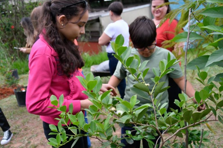 Conferência pelo Meio Ambiente