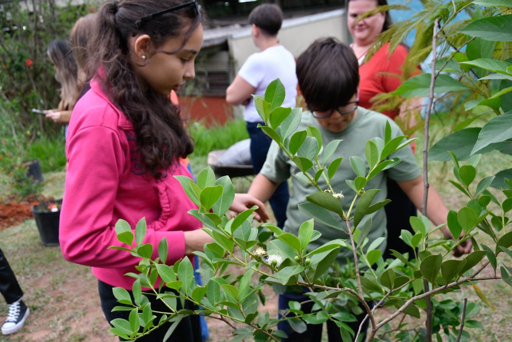Conferência pelo Meio Ambiente
