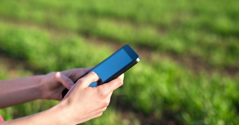 Sensores biodegradáveis