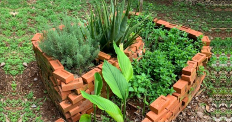 Horta em espiral: cultivo de plantas