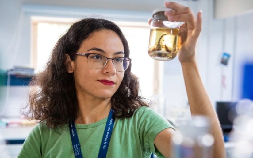 inscrições para mestrado e doutorado