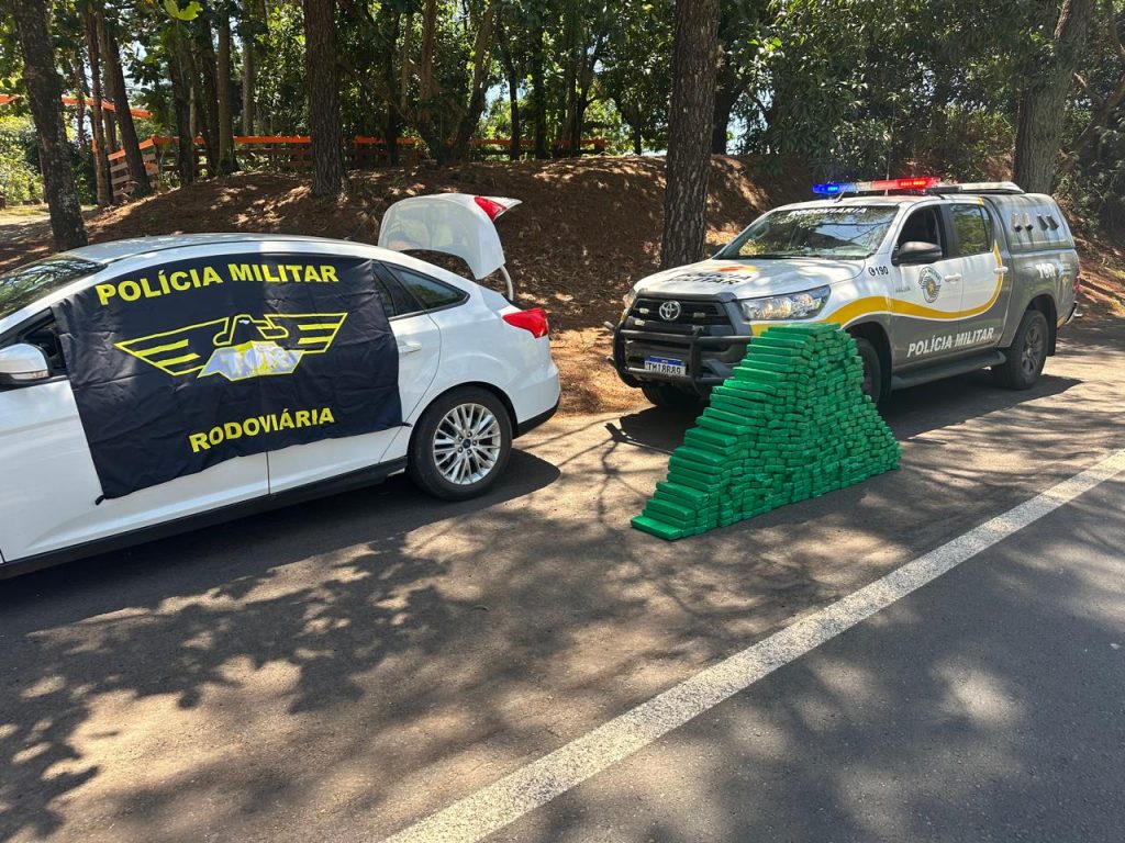 Preso transportava a droga de Minas Gerais para São Paulo Foto: Divulgação/Governo de SP