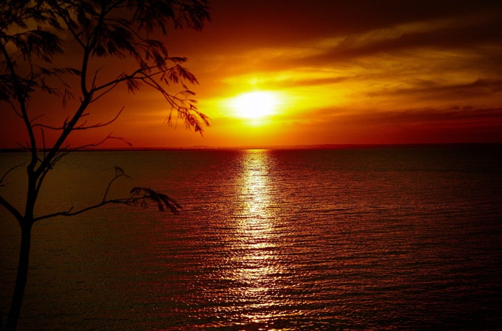 Presidente Epitácio-SP – Foto: Aniello de Vita